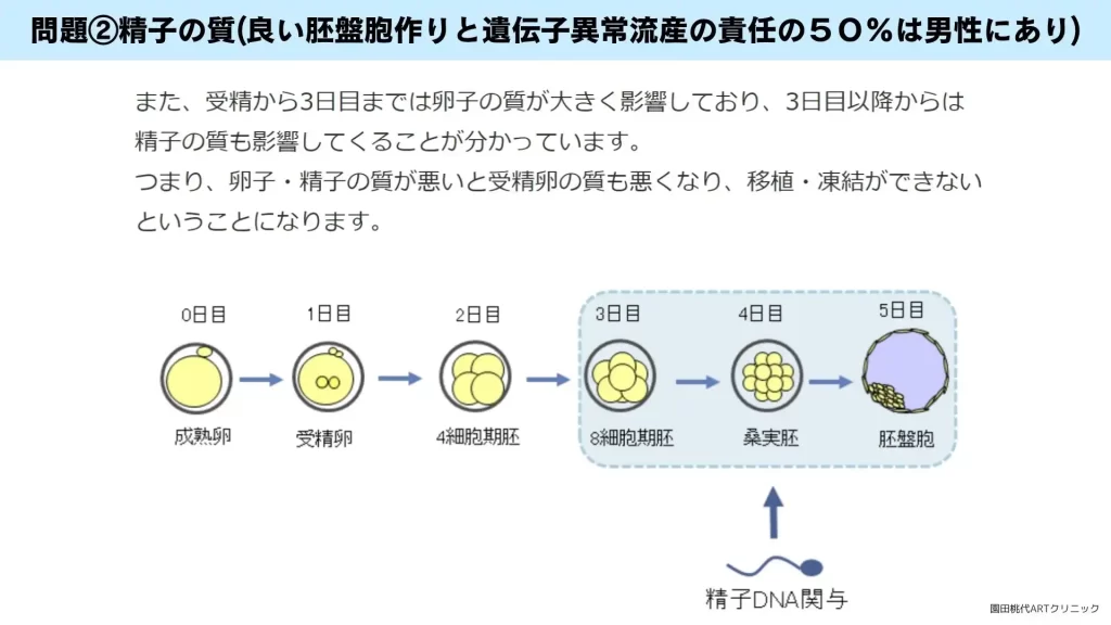 精子の質の低下は胚盤胞凍結できない原因